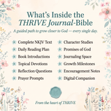 NLT THRIVE Devotional Bible for Women 5